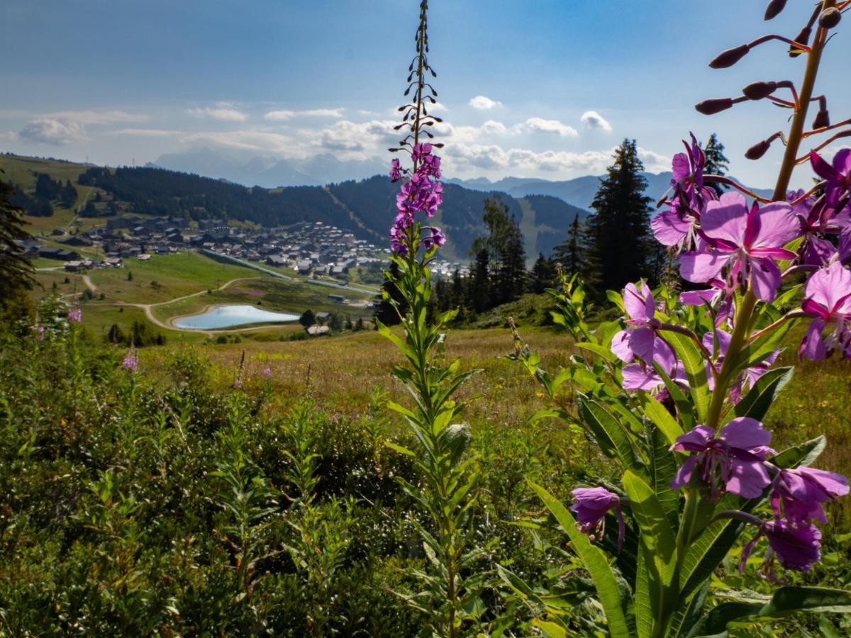 Les Saisies Appart 1 Chambre Au Pied Des Pistes Εξωτερικό φωτογραφία